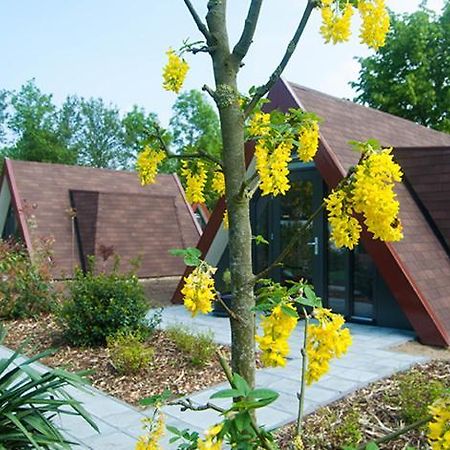 Bij Het Buitengoed Rijsbergen Esterno foto